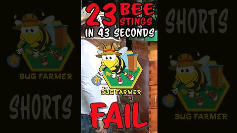 #shorts 23 Bee Stings in 43 Seconds - Beekeeper FAIL