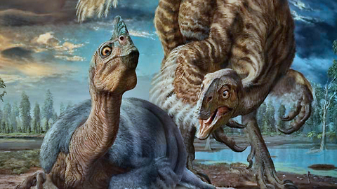 New giant Oviraptor dinosaur discovered