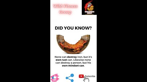 🔥Did you know about iron and its rust🔥#fitness🔥#wildfitnessgroup🔥#shorts🔥