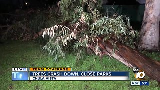 Dangerous trees shut down Chula Vista parks