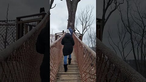 Ultimate Tree Bridges! - Part 9