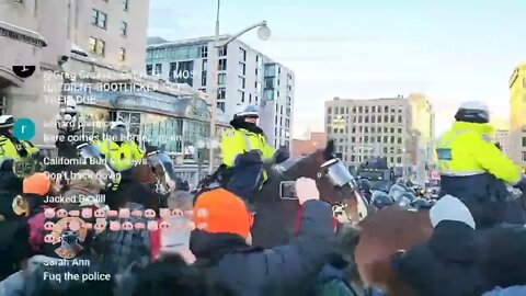 Ottawa Police animal cruelty. Horses run into crowd w/o warning . Police brutality. 2nd wave shown.