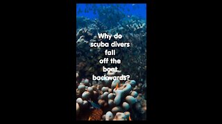 Why scuba divers fall off backwards?