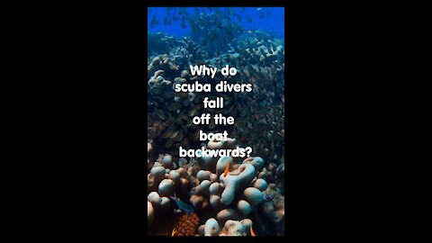 Why scuba divers fall off backwards?