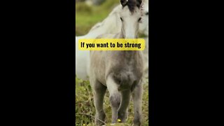 If you want to be strong/ motivation/ #shorts #viral #2022