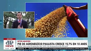 PIB do agronegócio paulista cresceu 15,7% em 10 anos