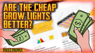 Are CHEAP Grow Lights Actually BETTER?