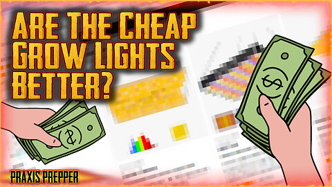 Are CHEAP Grow Lights Actually BETTER?