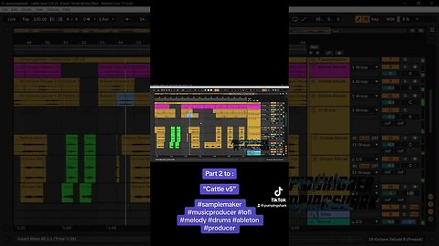 Part 2 “Cattle v5”#samplemaker #musicproducer #lofi #melody #drums #ableton #producer