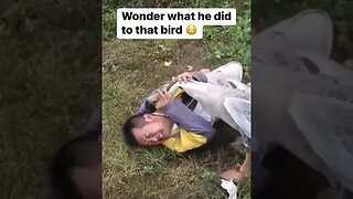 Wonder what he did to this bird 🐦