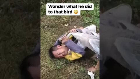 Wonder what he did to this bird 🐦