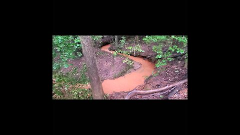 Rain Hike, Muddy Brooks and Streams, Part 2 of 2