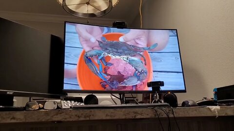 Lessons In Catching & Cooking Blue Crab 🦀 | Florida Living 🌴 | Nerd In Florida 🤓