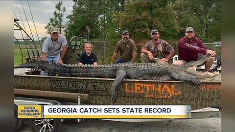 Gator hunters haul in a huge catch