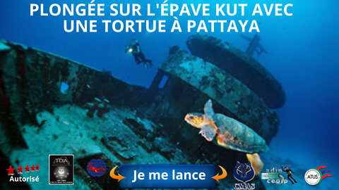 🤿 plongée sur l'épave kut avec la tortue à Pattaya