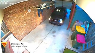 Garage Door Closing on Its Own | Doorbell Camera Video