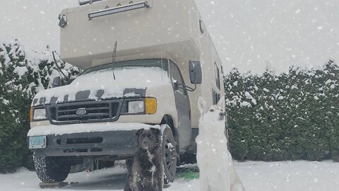 -25 FREEZING WINTER CAMPING with DOGS in a VAN