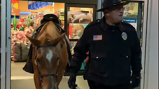 Police horse enters pet store