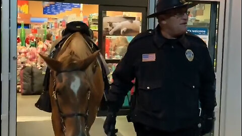 Police horse enters pet store