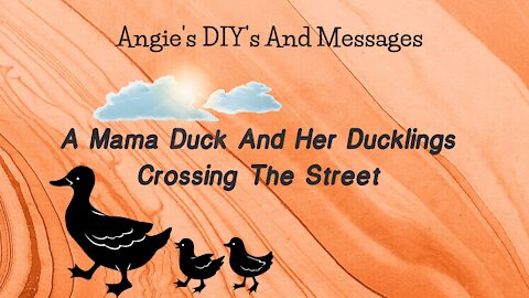 Mama Duck & Ducklings Crossing The Street