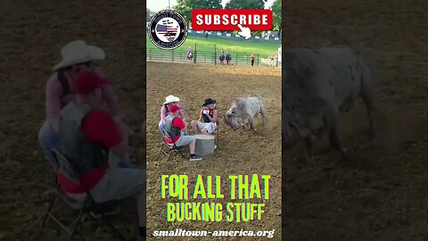 Bull Poker You Better Be Tough #Bull Poker #rodeo #youtubeshorts #tik tok short #smalltownamerica