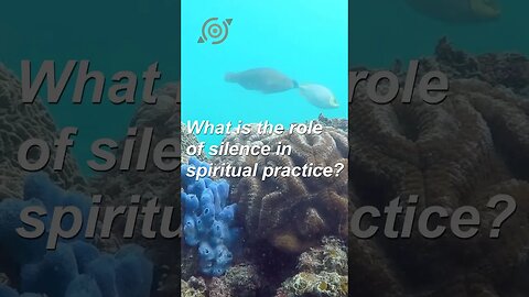 What is the role of silence in spiritual practice? #shorts #mindselevate #expandyourmind