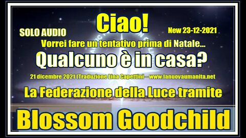 La Federazione della Luce tramite Blossom Goodchild