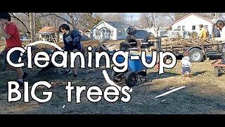 Cleaning up the Big trees