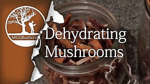 Bushcraft Foraging: Dehydrating Mushrooms