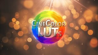 CineColor LUTs - 40 custom presets!