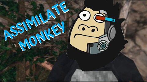Gorilla Tag VR Just Some Monkey Shenanigans