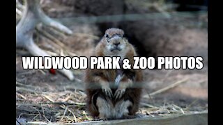 Wildwood Park & Zoo | Pictures I took while visiting there