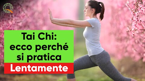 🚶 Tai Chi: ecco perché si pratica lentamente