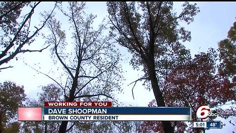 Indiana forestry group, local scientists oppose Brown County forest logging