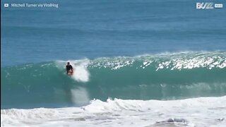 Toujours se méfier d'un retour de vague