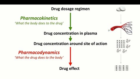 Pharmacodynamics Mechanism of Drug Action