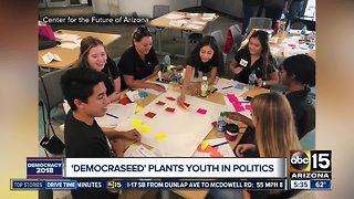 The impact of youth votes