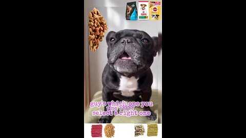 Dog food 🍖|expert advice| Baby dog🐾| dog love|viral shorts|🐾🐶🐕|