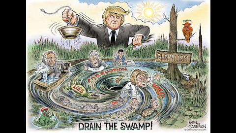 Donald Trump - Drain The Swamp By Moogy Naura
