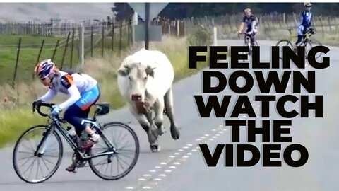 THE WORLD OF FUNNY VIDEOS - YOU WILL NOT GET BORED