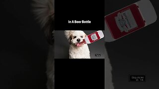 Budweiser Baby Formula - Baby Bud #funny #comedy #beer