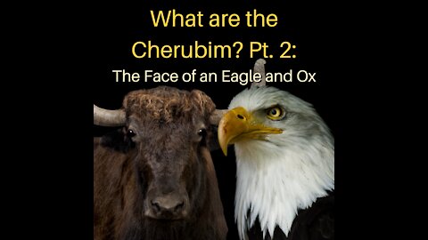 What Are the Cherubim Pt. 2: The Face of an Eagle and Ox