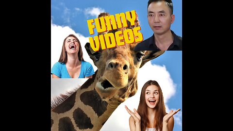 Funny Videos