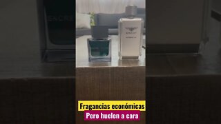 Perfumes de bajo costo para hombres