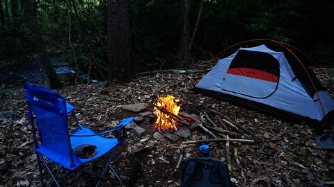 Overnight Bushcraft Camping and Foraging Ramps / Wild Leeks, Nettles, and Indian Cucumber. Asheville