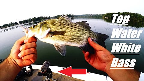 My FIRST time Fishing for this?! (WHITE BASS BlOW UPS) Day 27 of 30 Day challenge