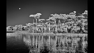 Infrared Photography Processing Tutorial