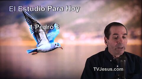 60 1 Pedro 3 - Pastor Ken Zenk - Estudios Biblicos