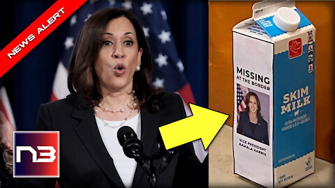 Kamala Harris Excuse for Border Crossings PROVES Shes Not Fit for the Job