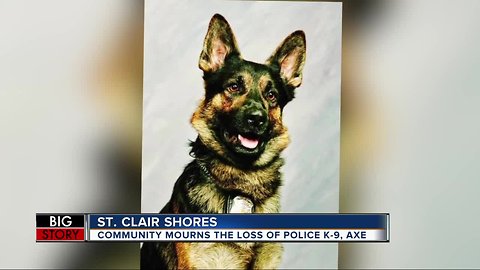 St. Clair Shores K-9 officer Axe gave his life to try to save lives